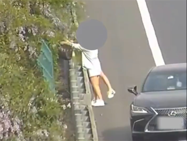 两女子高速大车道停车还压线！背后原因令人大跌眼镜