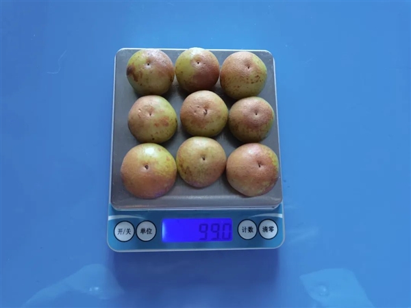 这种水果维生素C含量是橙子8倍！被誉为便秘人士救星