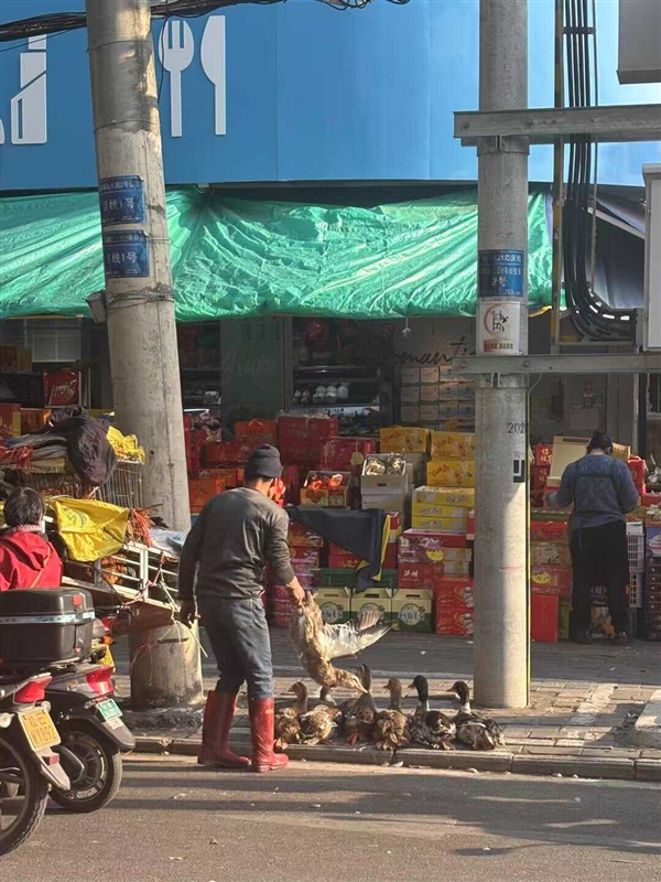 抢微波炉热饭 是打工人的世界大战