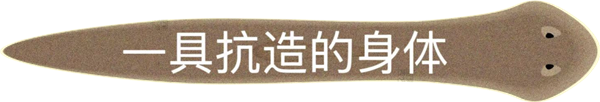 断头重生算什么！它被切碎后 每一块都能重生 且带有记忆