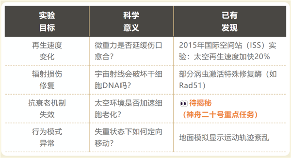 断头重生算什么！它被切碎后 每一块都能重生 且带有记忆